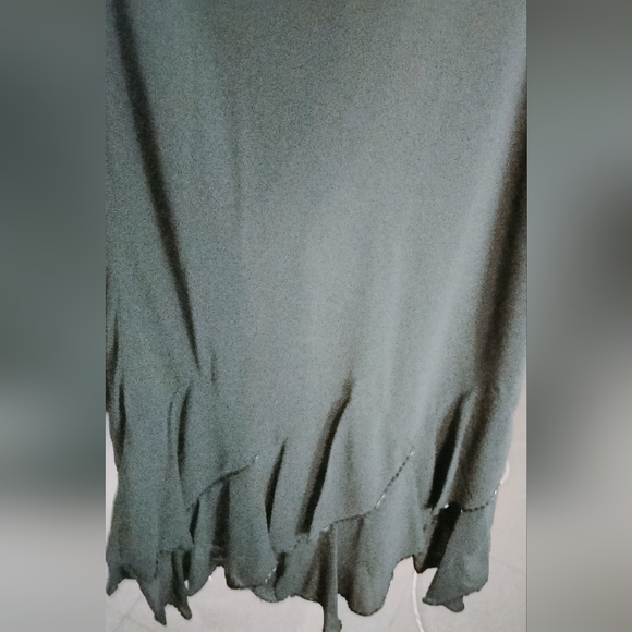 Sandra Darren dressy skirt with Beautiful beaded bottom, size 10 - Picture 7 of 7